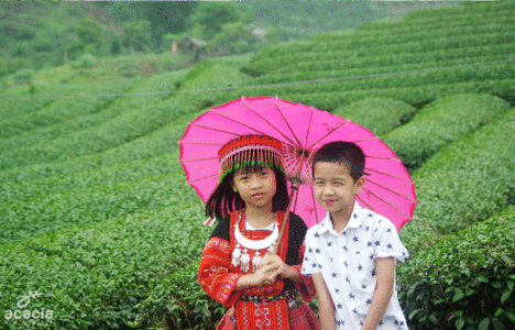HÀ NỘI – MỘC CHÂU