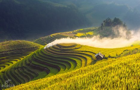RUỘNG BẬC THANG MÙ CĂNG CHẢI