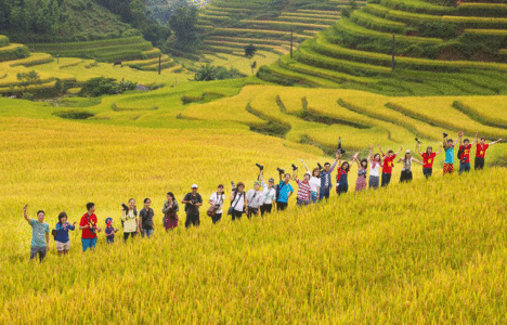 RUỘNG BẬC THANG HOÀNG SU PHÌ – HÀ GIANG