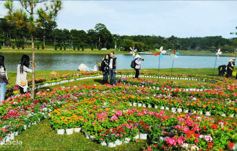 ĐÀ LẠT – THÀNH PHỐ NGÀN HOA