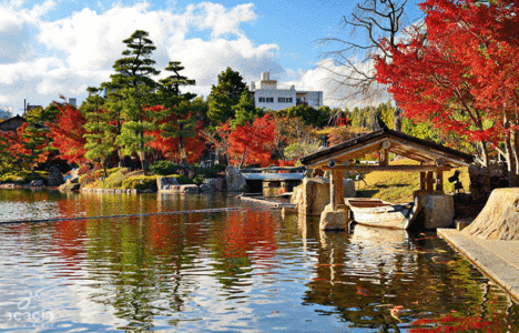 HÀ NỘI – OSAKA – TOKYO