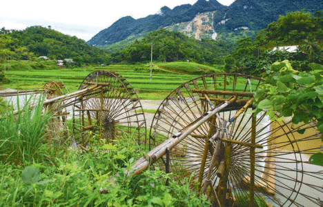 BẠN PHẢI ĐI PÙ LUÔNG