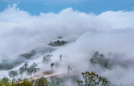 SĂN MÂY Y TÝ – LÀO CAI