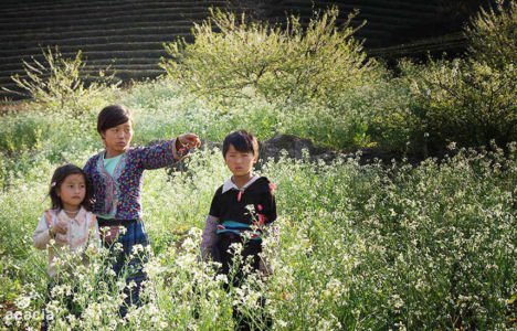HÀ NỘI – MỘC CHÂU – BẢN VẶT